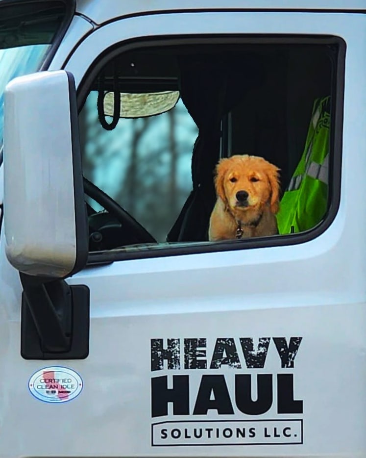 A golden retriever puppy looking out of the open window of a silver Heavy Haul Solutions truck, above the Heavy Haul Solutions logo on the door