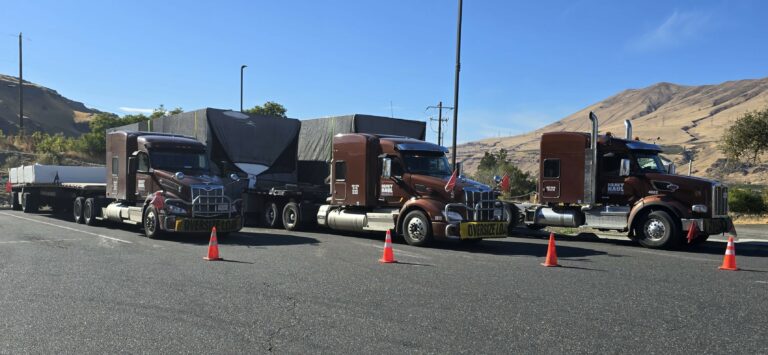 Three heavy-haul semi trucks with flatbed and lowboy trailers parked in a row along a highway with hills in the background